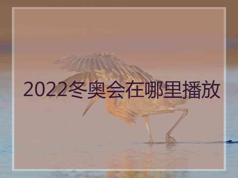 2022冬奥会在哪里播放