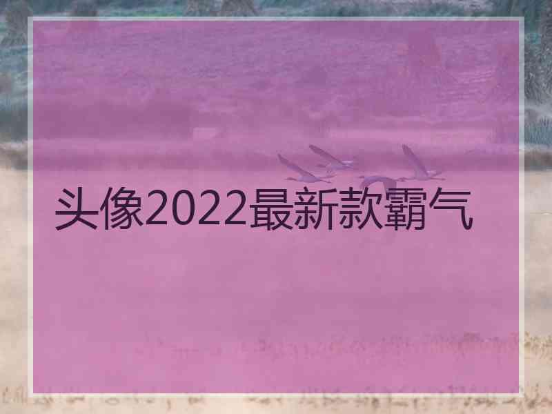 头像2022最新款霸气