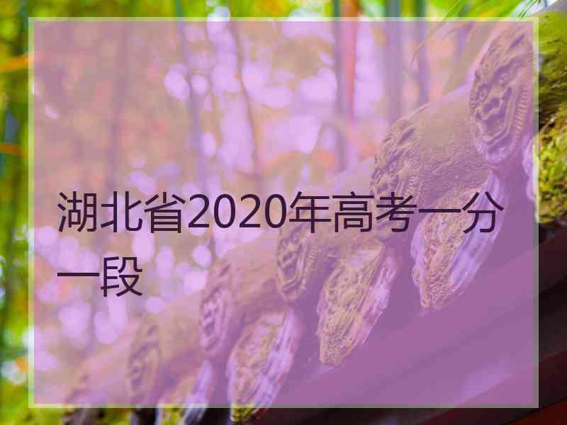 湖北省2020年高考一分一段