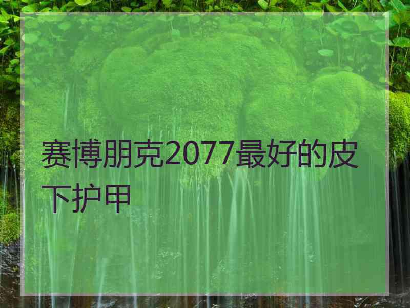 赛博朋克2077最好的皮下护甲