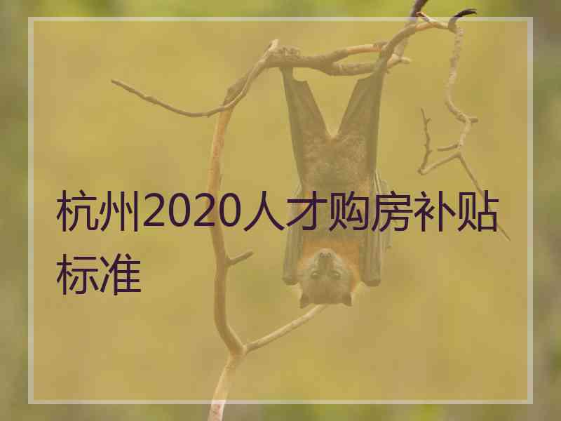 杭州2020人才购房补贴标准