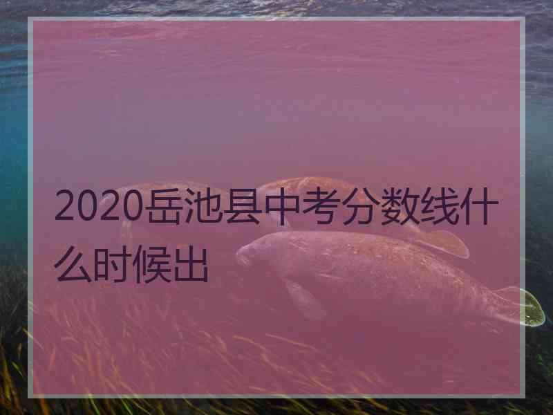 2020岳池县中考分数线什么时候出