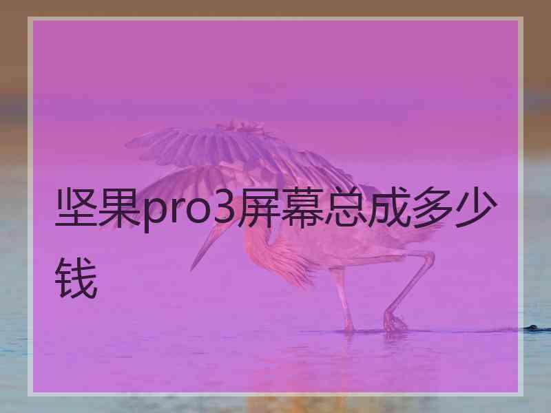 坚果pro3屏幕总成多少钱