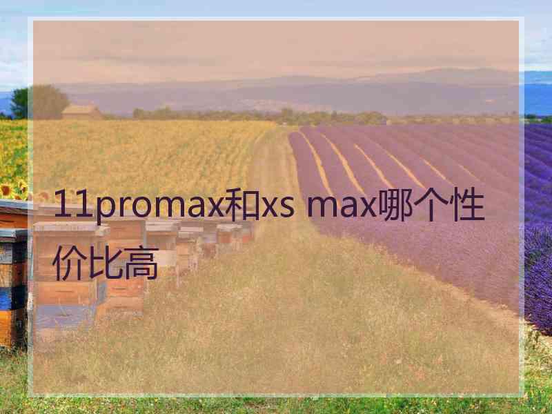 11promax和xs max哪个性价比高