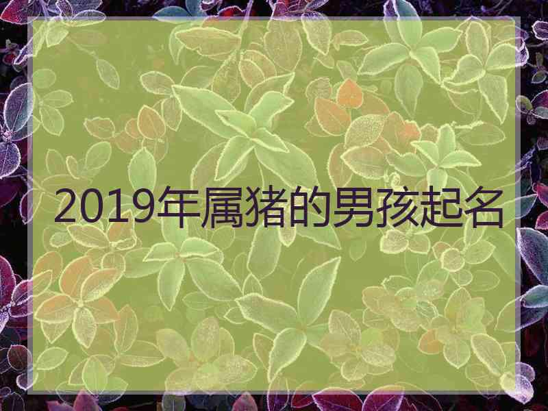 2019年属猪的男孩起名