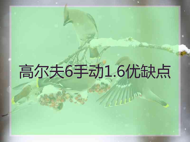 高尔夫6手动1.6优缺点