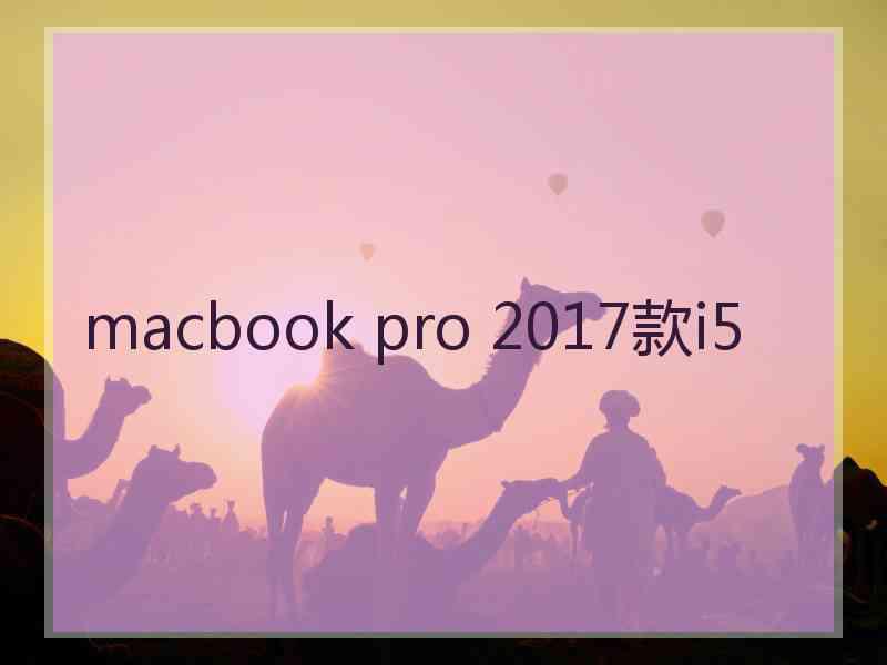 macbook pro 2017款i5