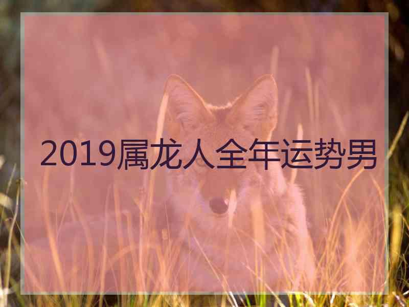 2019属龙人全年运势男