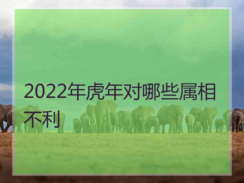 2022年虎年对哪些属相不利