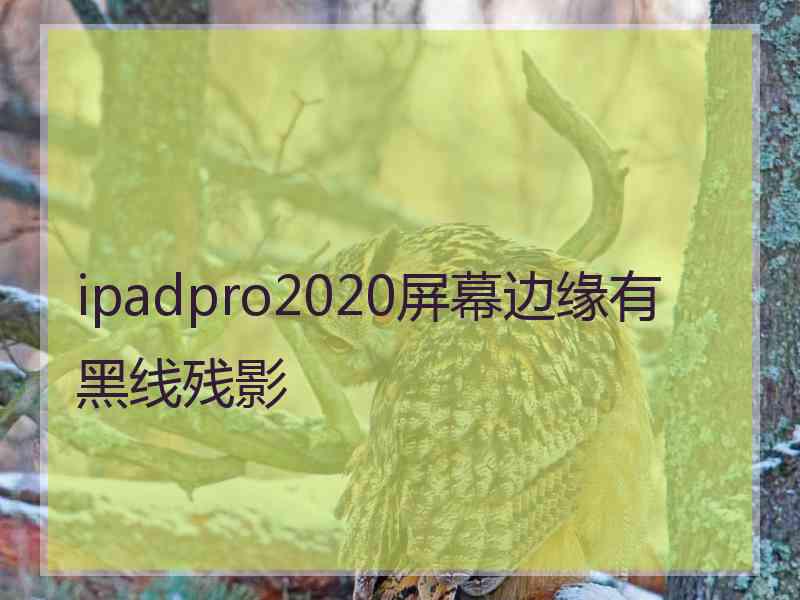 ipadpro2020屏幕边缘有黑线残影