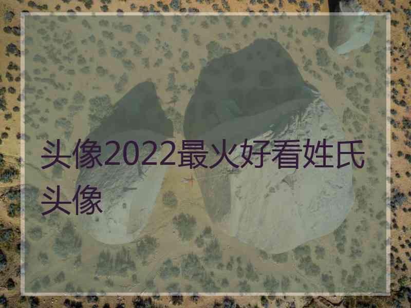 头像2022最火好看姓氏头像