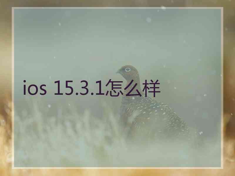 ios 15.3.1怎么样