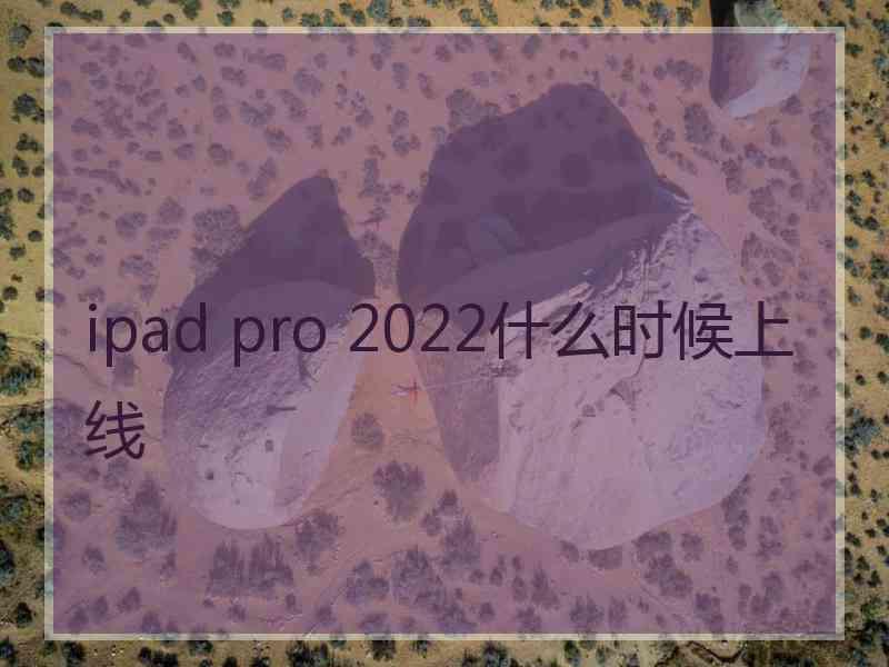 ipad pro 2022什么时候上线