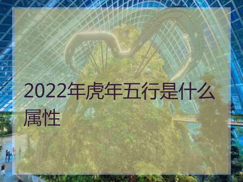 2022年虎年五行是什么属性