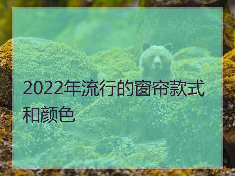 2022年流行的窗帘款式和颜色