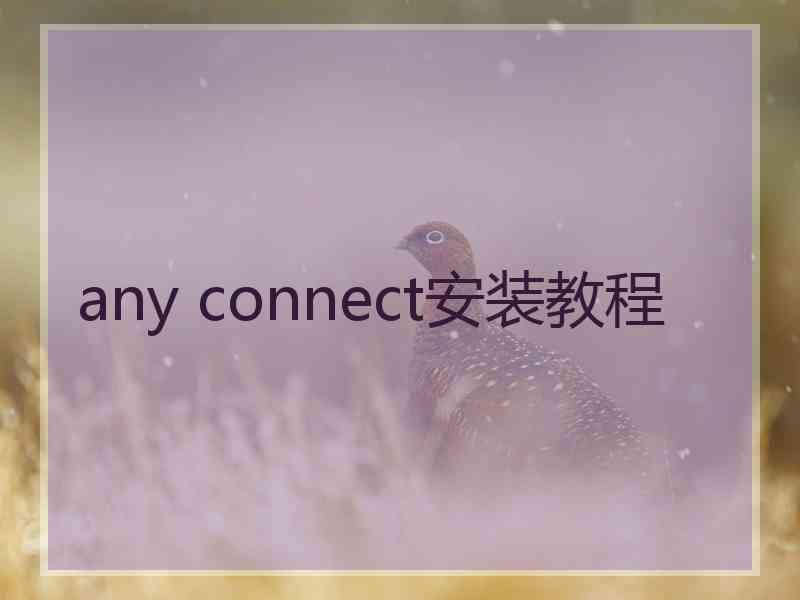 any connect安装教程