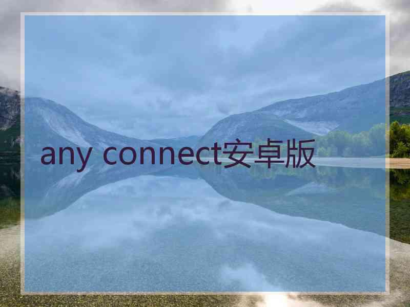 any connect安卓版