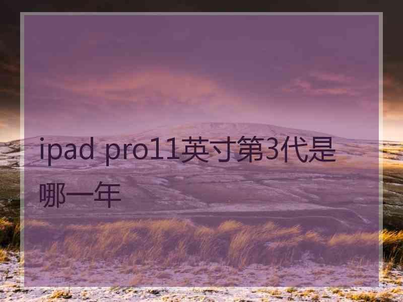 ipad pro11英寸第3代是哪一年