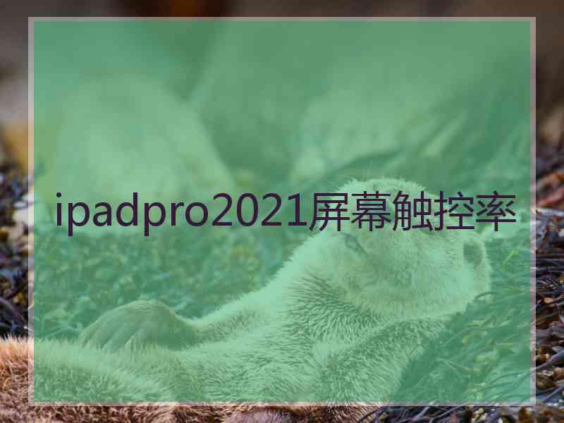 ipadpro2021屏幕触控率