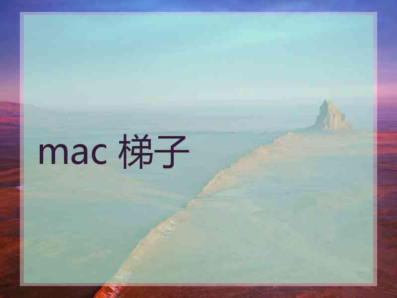 mac 梯子