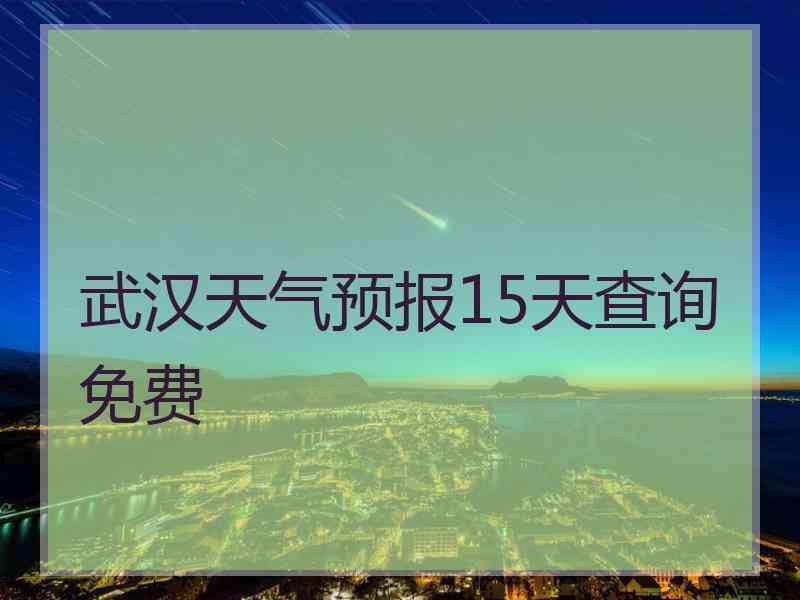 武汉天气预报15天查询免费