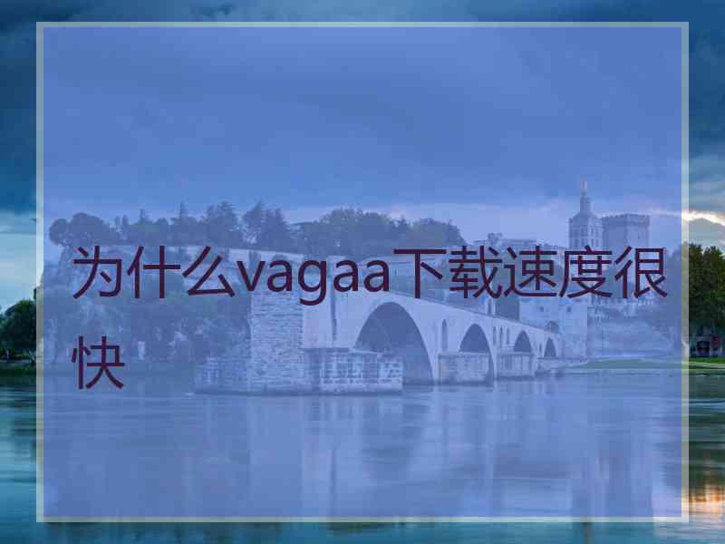 为什么vagaa下载速度很快