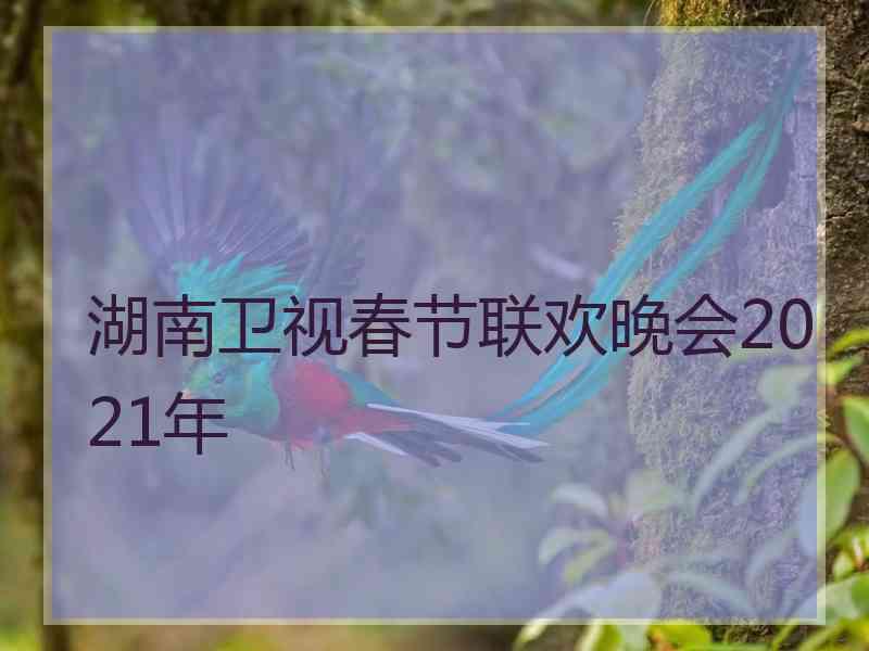 湖南卫视春节联欢晚会2021年