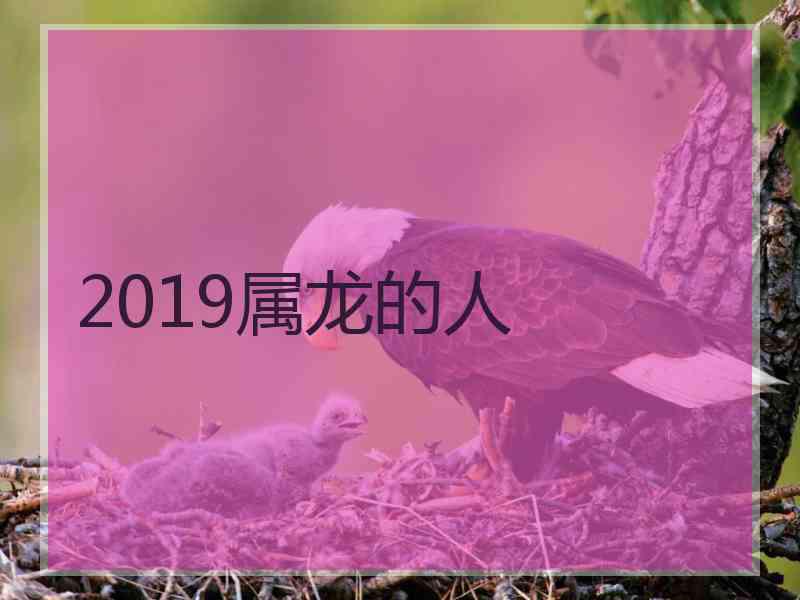 2019属龙的人