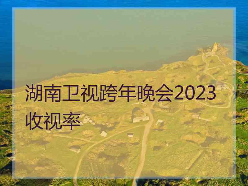 湖南卫视跨年晚会2023收视率