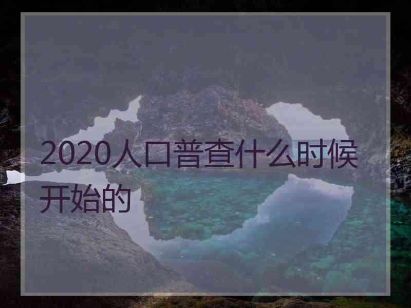 2020人口普查什么时候开始的