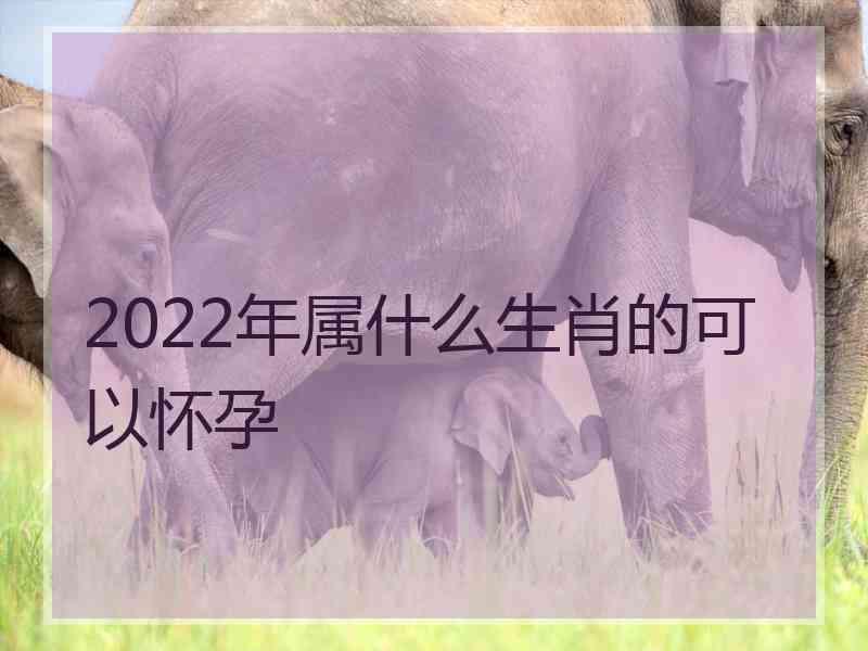 2022年属什么生肖的可以怀孕