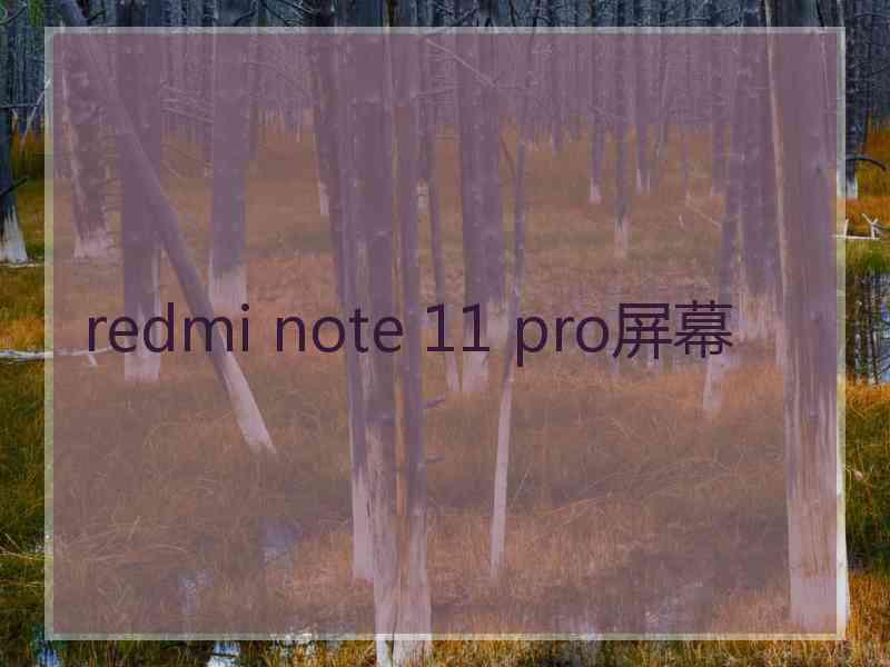 redmi note 11 pro屏幕