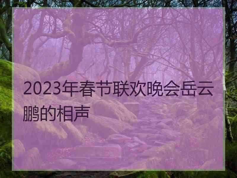 2023年春节联欢晚会岳云鹏的相声