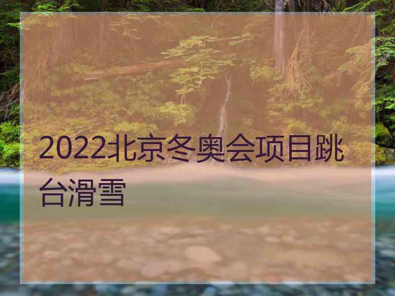 2022北京冬奥会项目跳台滑雪