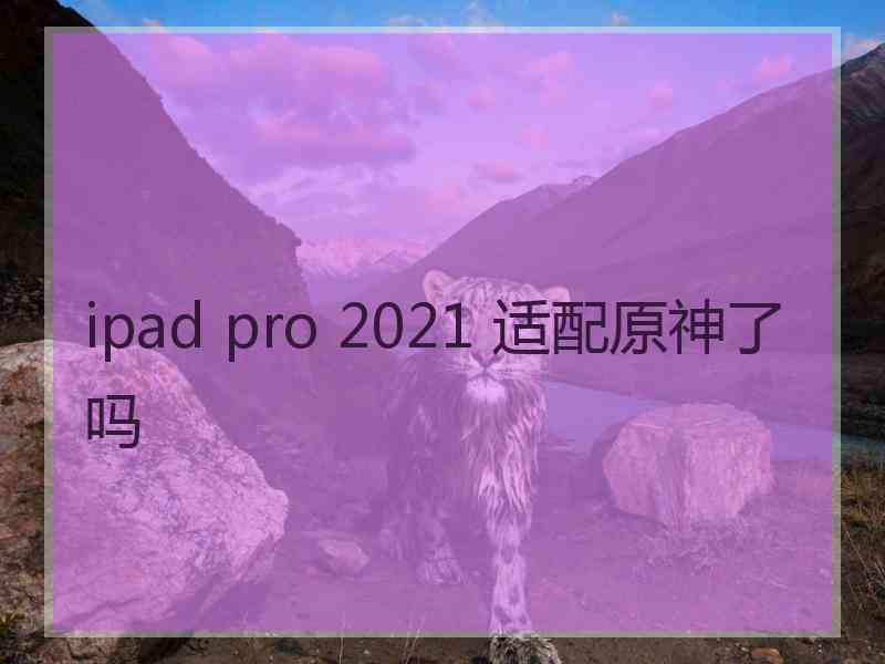 ipad pro 2021 适配原神了吗