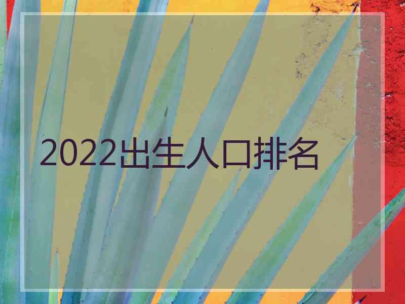 2022出生人口排名