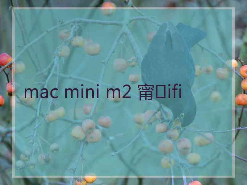 mac mini m2 甯ifi