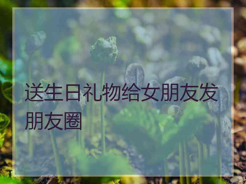 送生日礼物给女朋友发朋友圈