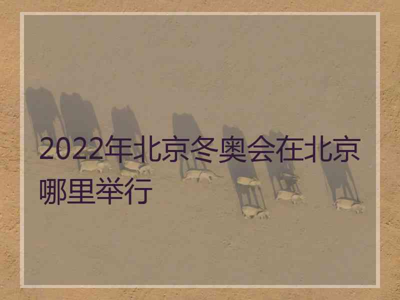 2022年北京冬奥会在北京哪里举行