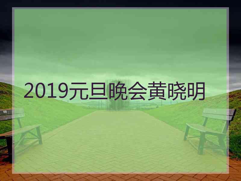 2019元旦晚会黄晓明