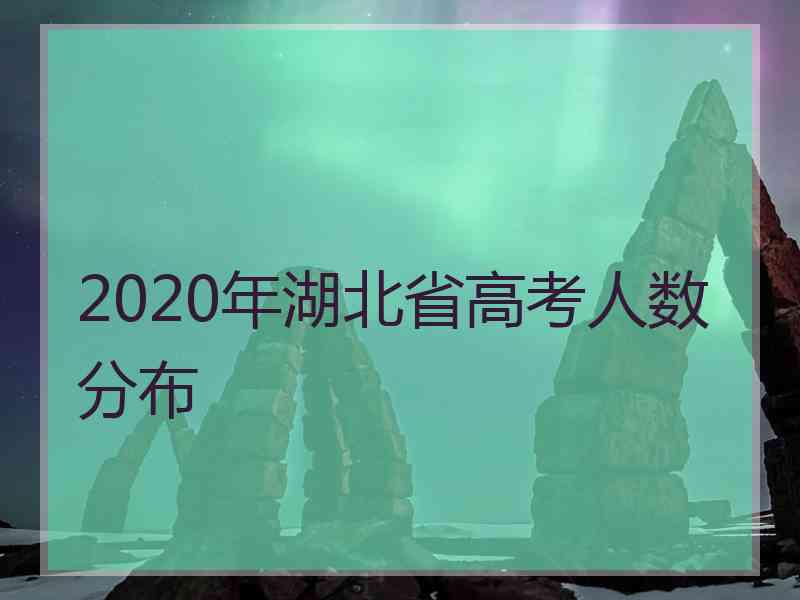 2020年湖北省高考人数分布