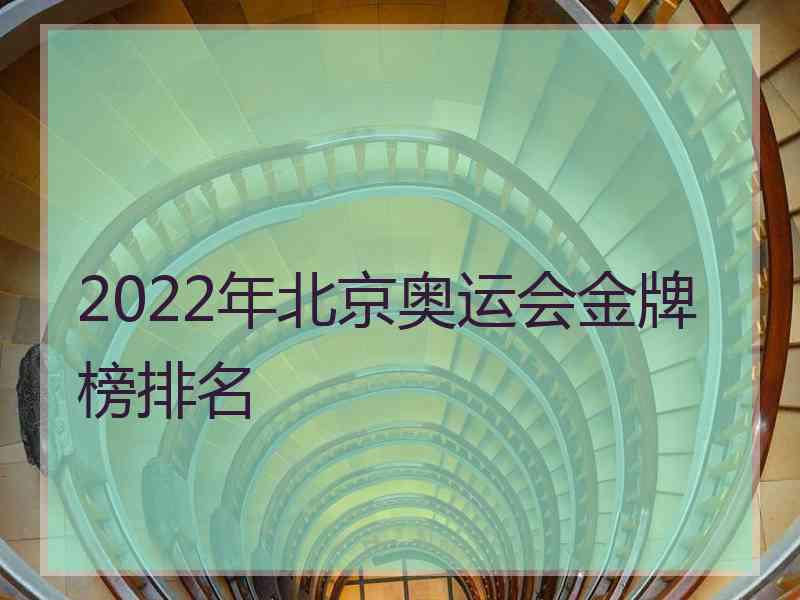 2022年北京奥运会金牌榜排名