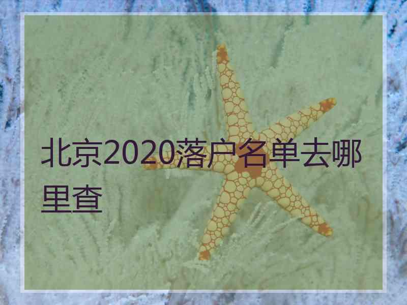 北京2020落户名单去哪里查