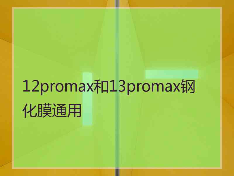 12promax和13promax钢化膜通用