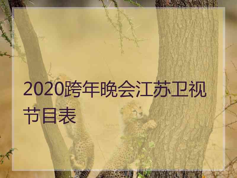 2020跨年晚会江苏卫视节目表