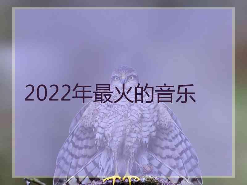 2022年最火的音乐