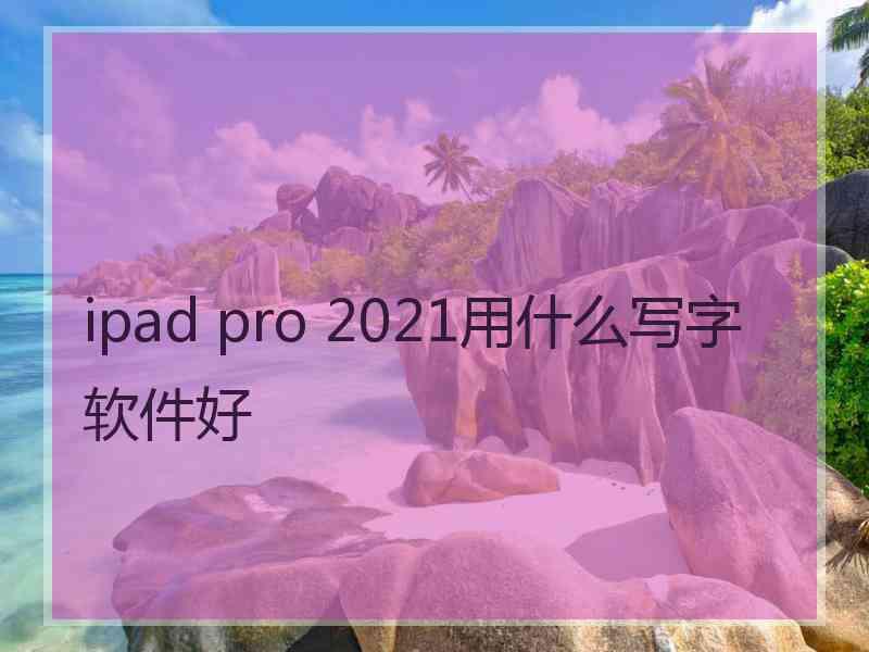 ipad pro 2021用什么写字软件好