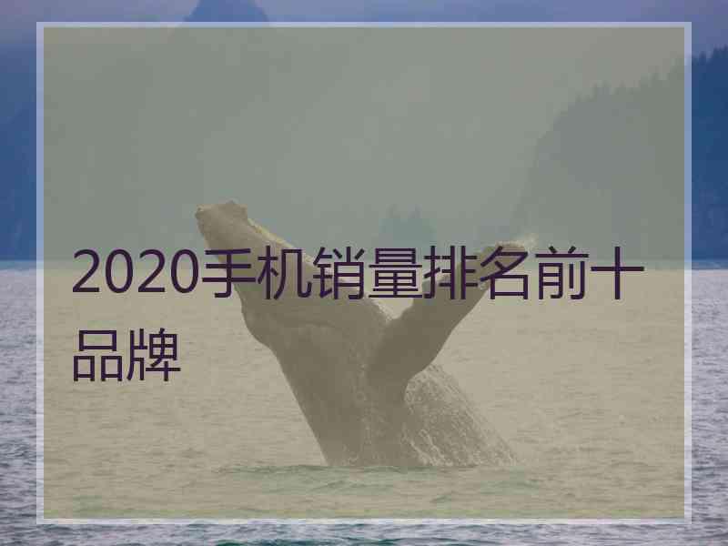 2020手机销量排名前十品牌