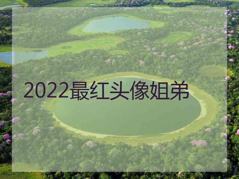 2022最红头像姐弟