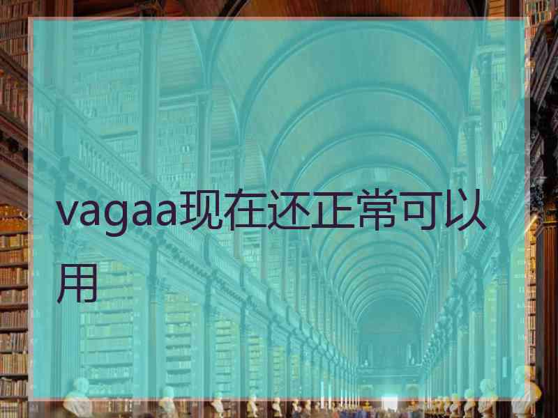 vagaa现在还正常可以用